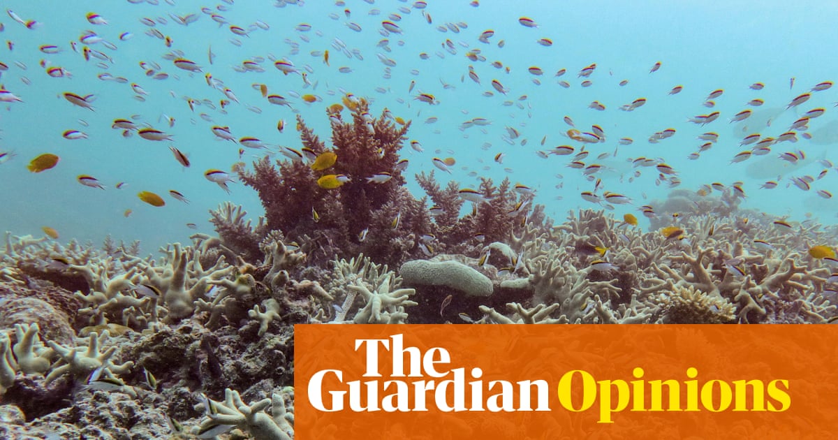 Pretty bloomin’ what? The Great Barrier Reef is a picture of health, The Australian assures us | Tory Shepherd