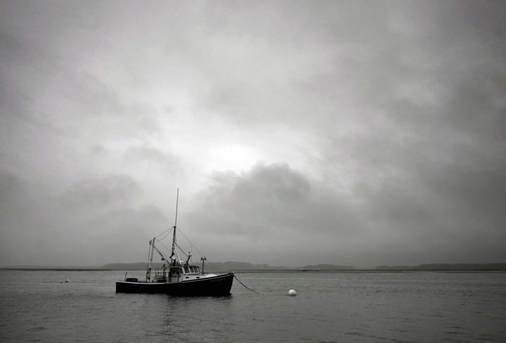 Program aims to help Maine lobstermen start other businesses as industry struggles