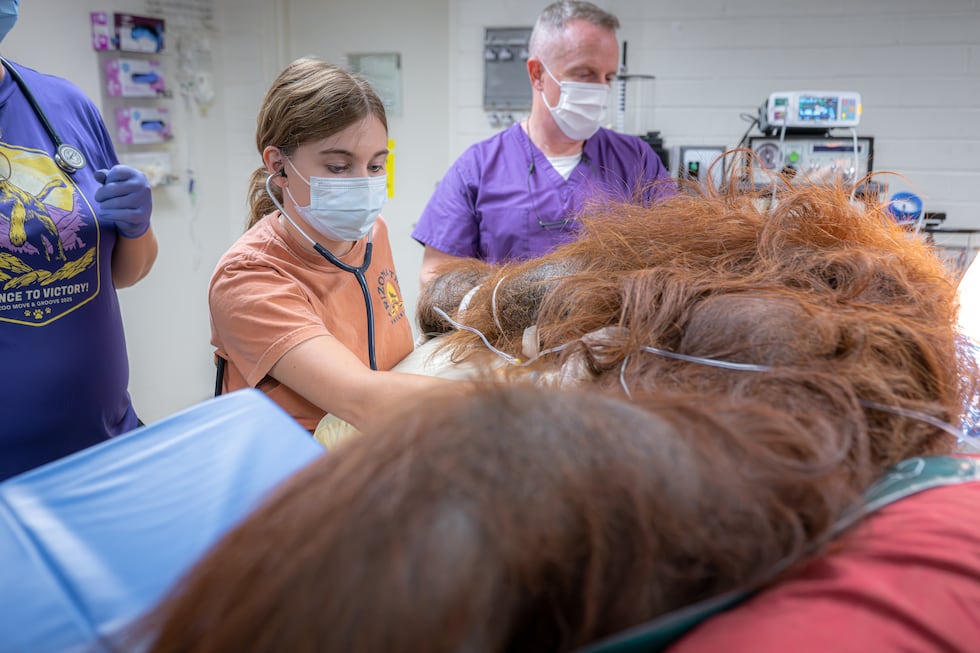 Michael had a second surgery on Thursday, where veterinarians removed additional tissue around...