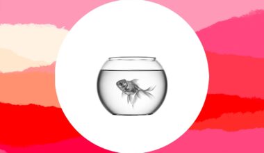 My toddler's pet goldfish died. My wife's reaction is really puzzling and upsetting. What's the best way to deal with pet death?