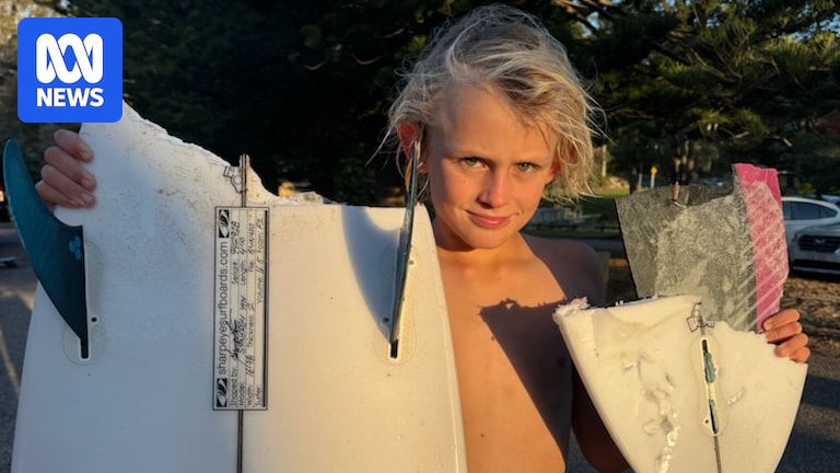 Shark attack at Tathra Beach leaves 9yo surfer's board in pieces