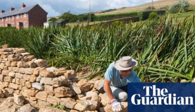 Craftland by James Fox review – on the trail of Britain’s vanishing skills | Books