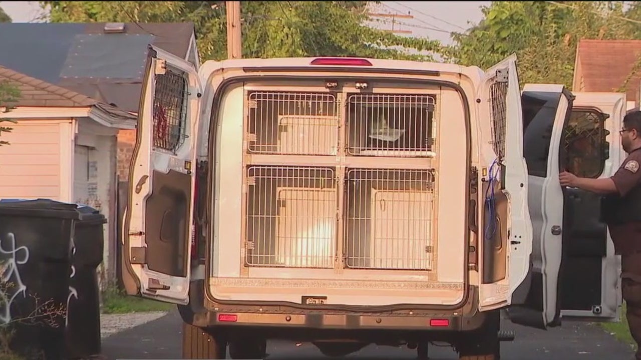 26 dogs rescued from Chicago home after cruelty allegations, officials say