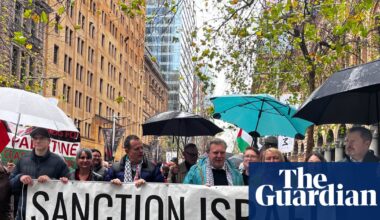 Dissent against Chris Minns spills into NSW parliament as Labor MP accuses party of gagging debate on Gaza | New South Wales politics
