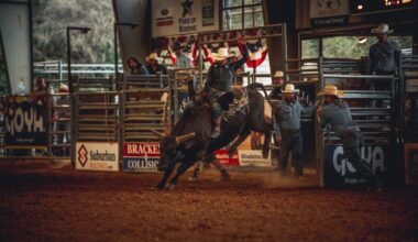 A man riding a bull at the rodeo.