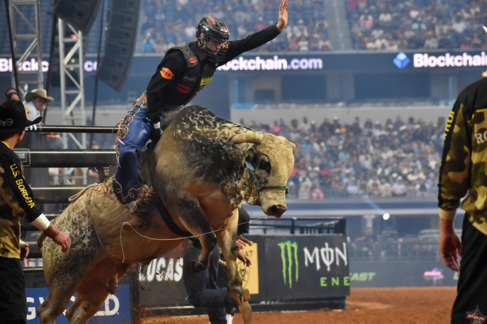 bull rider