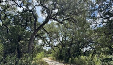 The Salado Creek Greenway is 20-mile long trail network made of asphalt and concrete trails. (Parks Kugle/Community Impact)