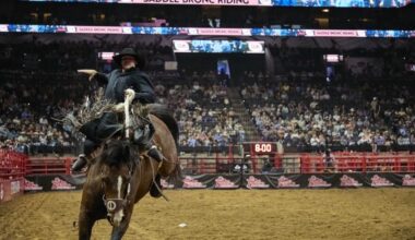The San Antonio Rodeo & Stock Show will take place next February at the Frost Bank Center. (Courtesy Elizabeth Wahl/San Antonio Stock Show & Rodeo)