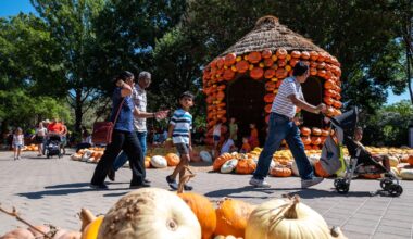 14 fall festivals in North Texas to look forward to