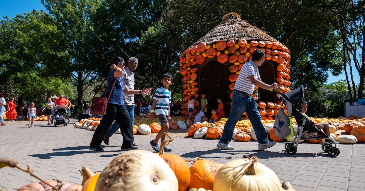 14 fall festivals in North Texas to look forward to
