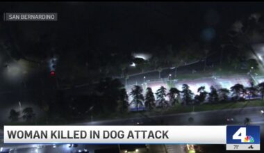 Woman killed after dog attack in San Bernardino – NBC Los Angeles