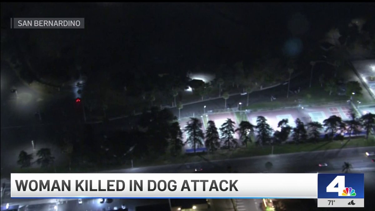 Woman killed after dog attack in San Bernardino – NBC Los Angeles