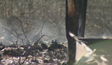 Bexar County under new 90-day burn ban: What to know
