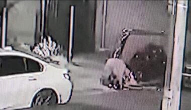 Woman killed in hit-and-run crash in the Bronx – NBC New York