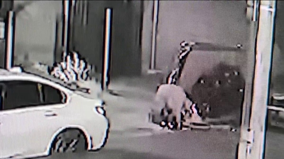 Woman killed in hit-and-run crash in the Bronx – NBC New York