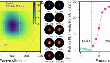 Brightening self-trapped exciton emission in 2D metal-organic chalcogenolates via argentophilicity-mediated anisotropic compression