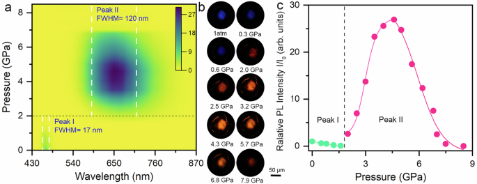 Brightening self-trapped exciton emission in 2D metal-organic chalcogenolates via argentophilicity-mediated anisotropic compression