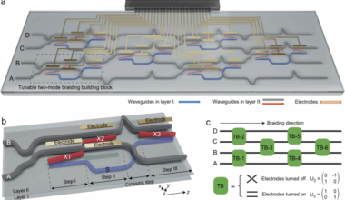 Reconfigurable non-Abelian integrated photonics | Nature Communications