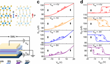 Sub-nanosecond polarization switching with anomalous kinetics in vdW ferroelectric WTe2
