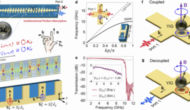 Unidirectional perfect absorption induced by chiral coupling in spin-momentum locked waveguide magnonics