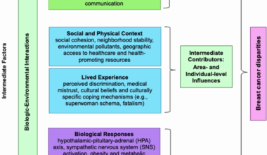 A Society-to-Cells approach to evaluating multilevel and interrelated drivers of breast cancer disparities in Black women