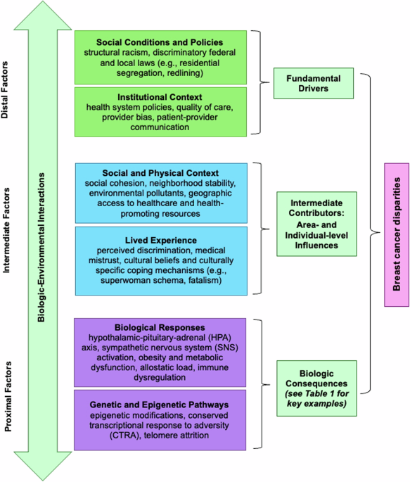 A Society-to-Cells approach to evaluating multilevel and interrelated drivers of breast cancer disparities in Black women