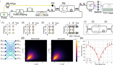 Bipartite Gaussian boson sampling in the time-frequency-bin domain with squeezed light generated by a silicon nitride microresonator