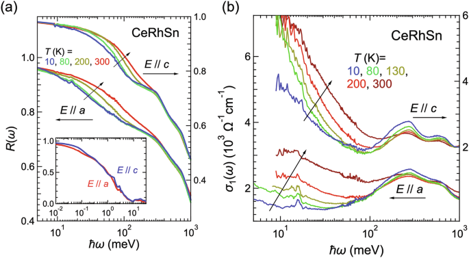 Anisotropic non-Fermi liquid and dynamical Planckian scaling of a quasi-kagome Kondo lattice system