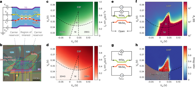 Competition between excitonic insulators and quantum Hall states in correlated electron–hole bilayers