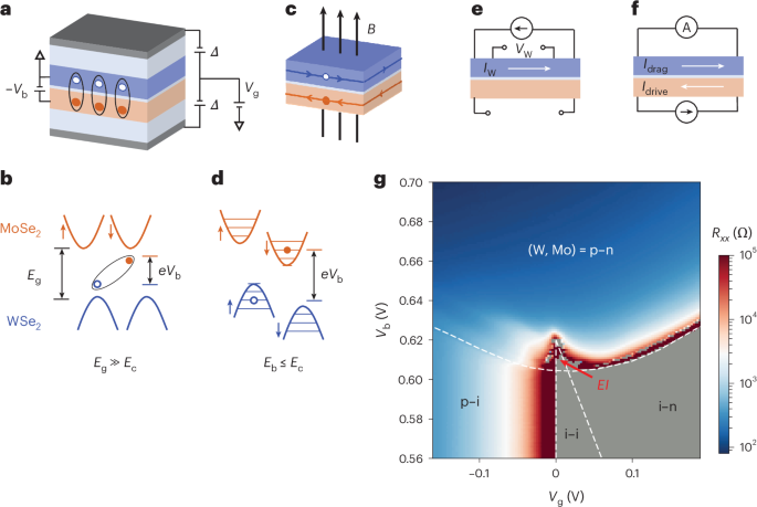 Quantum oscillations in a dipolar excitonic insulator