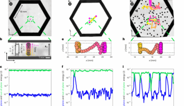 Control of collective activity to crystallize an oscillator gas