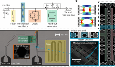A mechanical quantum memory for microwave photons