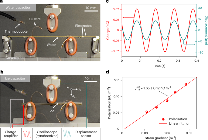 Flexoelectricity and surface ferroelectricity of water ice