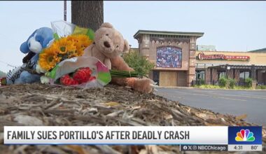 Family of 2-year-old killed in Portillo’s crash files lawsuit – NBC Chicago