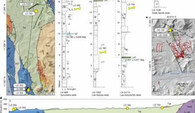 New discoveries of Australopithecus and Homo from Ledi-Geraru, Ethiopia