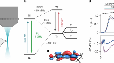 A fluorescent-protein spin qubit | Nature