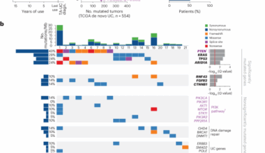Tamoxifen induces PI3K activation in uterine cancer