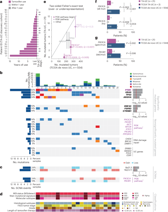 Tamoxifen induces PI3K activation in uterine cancer
