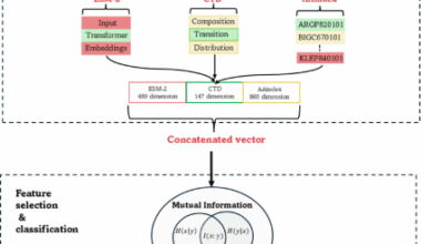 An efficient machine-learning framework for predicting protein post-translational modification sites