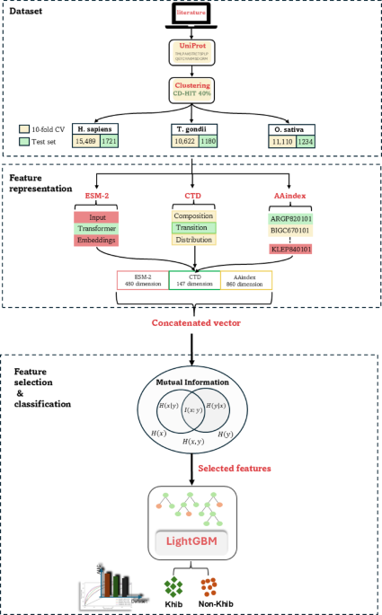 An efficient machine-learning framework for predicting protein post-translational modification sites