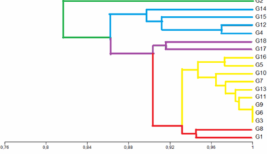 Genetic diversity assessment of walnut (Juglans regia L.) genotypes from inner Anatolia region Türkiye using ISSR and RAPD markers