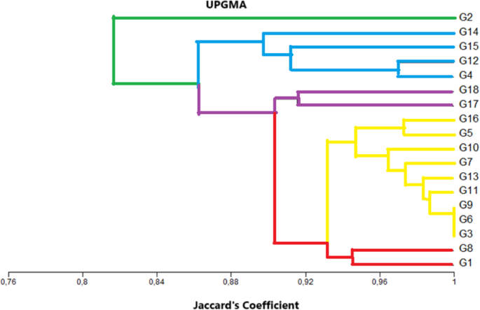 Genetic diversity assessment of walnut (Juglans regia L.) genotypes from inner Anatolia region Türkiye using ISSR and RAPD markers
