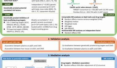 Genetic insights into causal effects of lipids and lipid-modifying targets on calcific aortic valve stenosis: a Mendelian randomized study
