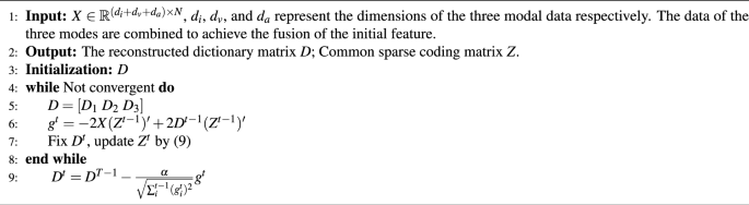 Deep dictionary learning with reconstruction for texture recognition