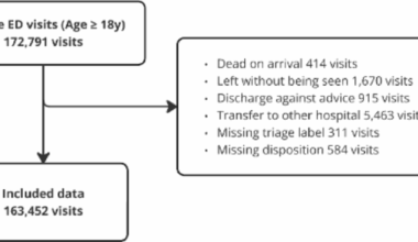 Development and internal validation of an AI-based emergency triage model for predicting critical outcomes in emergency department