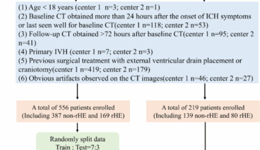 Noncontrast CT-based deep learning for predicting intracerebral hemorrhage expansion incorporating growth of intraventricular hemorrhage