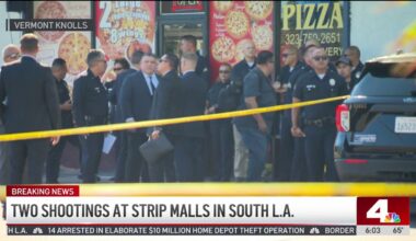 Deadly shooting at strip mall in South LA – NBC Los Angeles