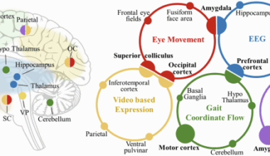AI-assisted multi-modal information for the screening of depression: a systematic review and meta-analysis