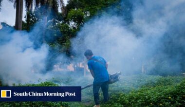 China’s Guangdong province pledges ‘decisive’ mesasures as chikungunya fever cases spread