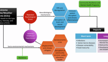 Extreme weather and climate-related adverse childhood experiences are a humanitarian crisis during the 21st century